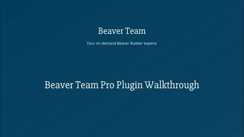 beaver team pro 1 2 18 650eb6e9a6322