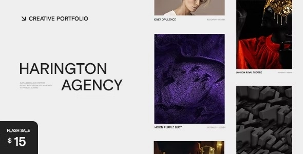 harington creative portfolio theme 1 3 650aee0514346