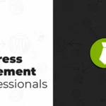 mainwp google analytics extension 4 1 3 650e7ce595ab3