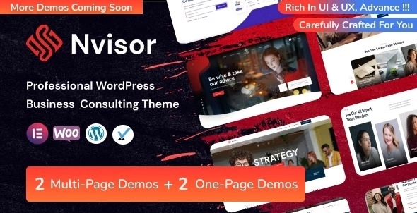 nvisor business consulting wordpress 1 3 650acc9f4f2df