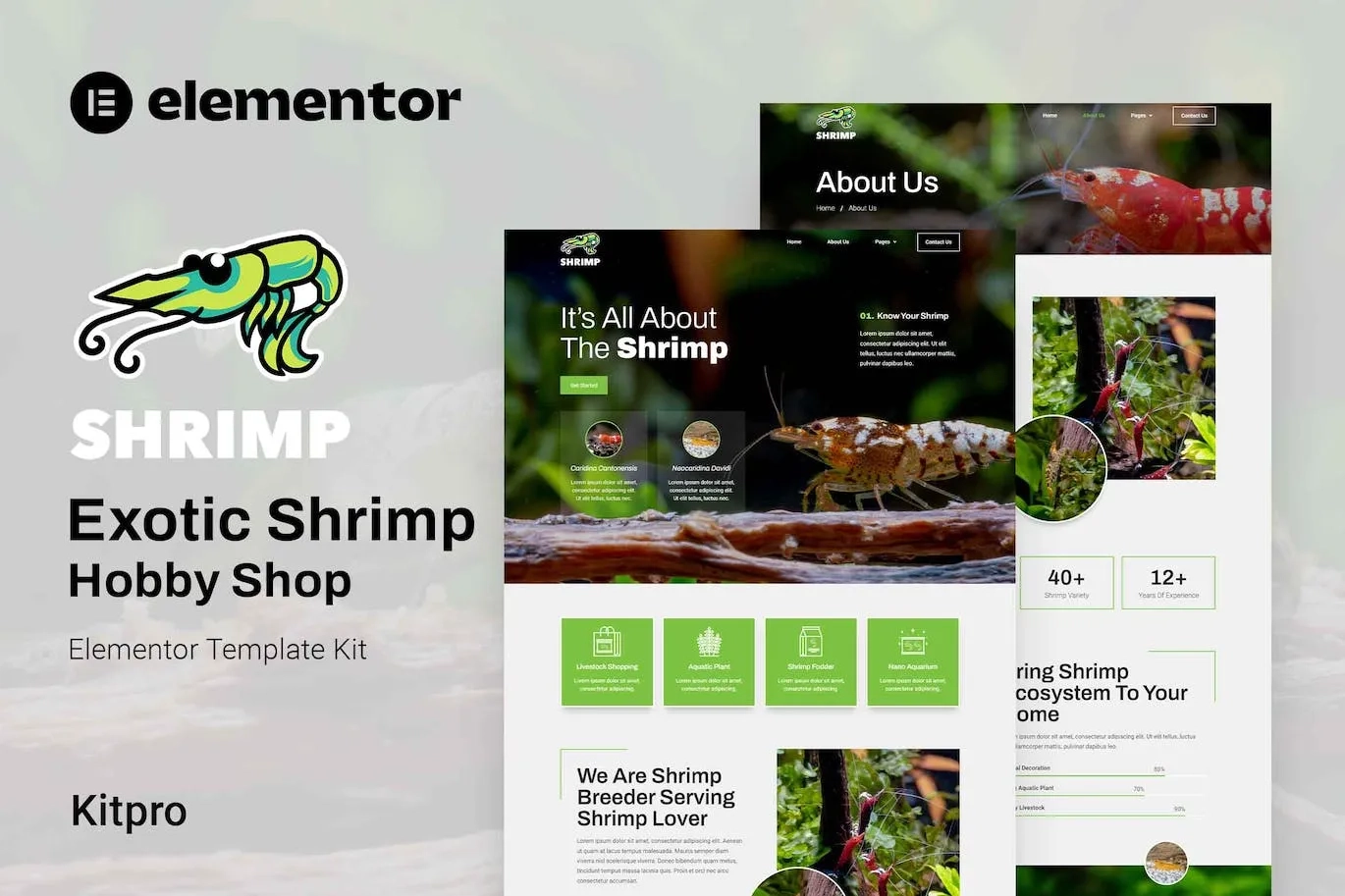 shrimp aquarium hobby shop elementor template kit 651479a6189e1