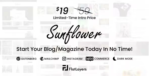 sunflower modern lightweight multipurpose wordpress blog theme 1 2 650acc567b966