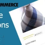 woocommerce simple auctions 2 1 3 650e7bd9a1571