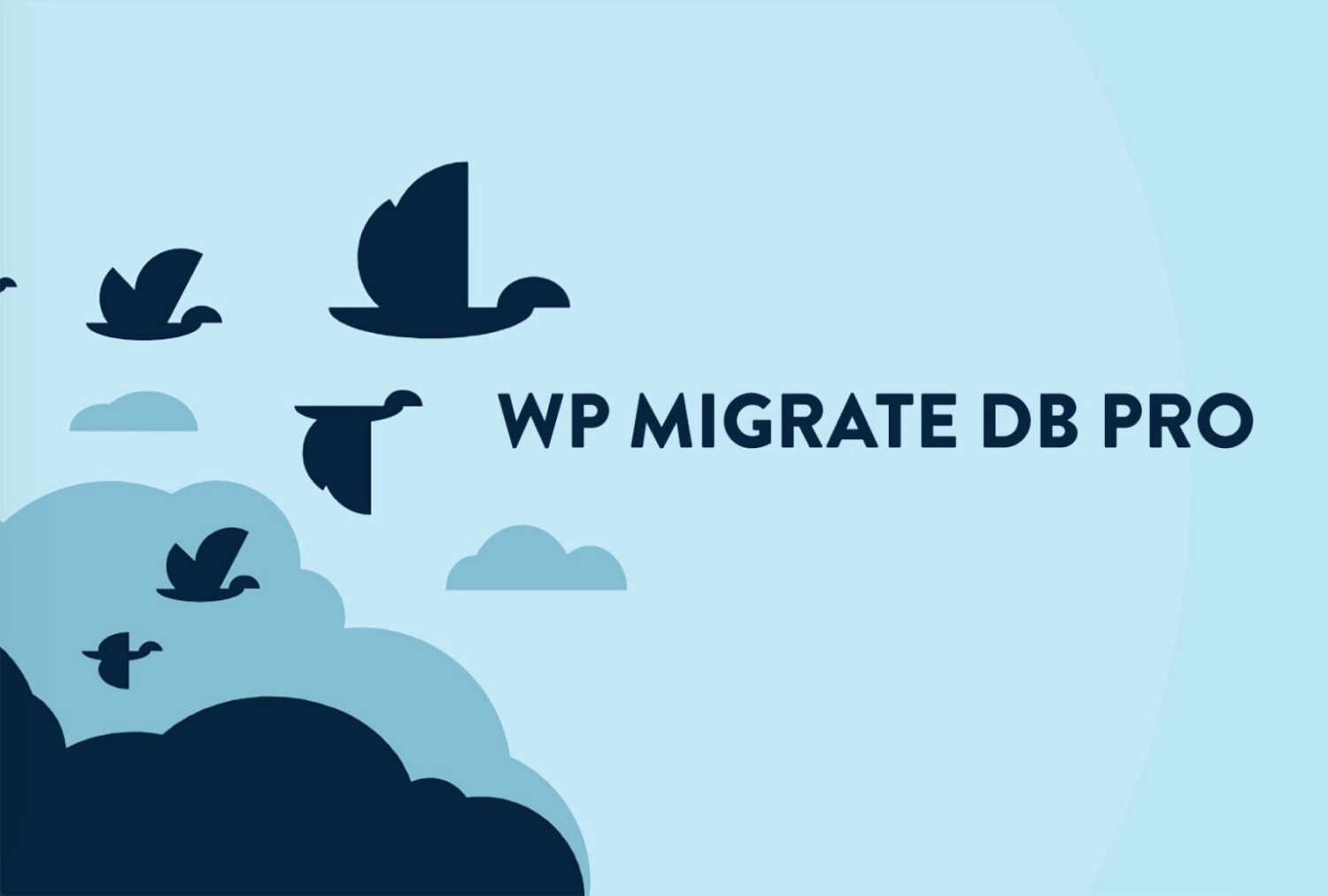 wp migrate db pro 2 6 8 650e7a5227ce2