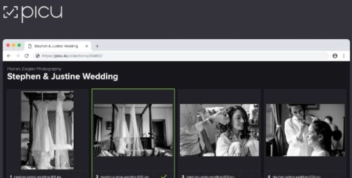 Picu Pro – Online Photo Proofing with WordPress