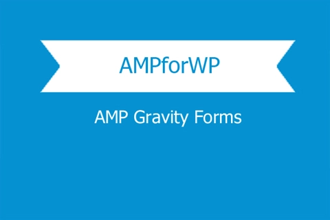 amp gravity forms 2 9 34 651dd39aa53ea