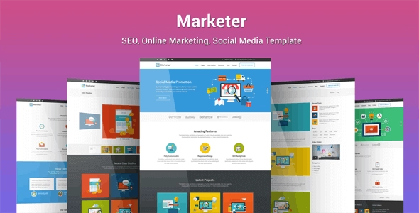 Marketer – SEO, Online Marketing, Social Media WordPress Theme 1.2.6
