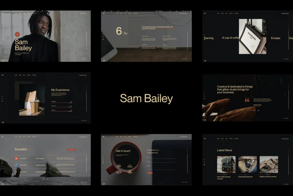 Sam Bailey – Personal CV/Resume WordPress Theme 1.0.0