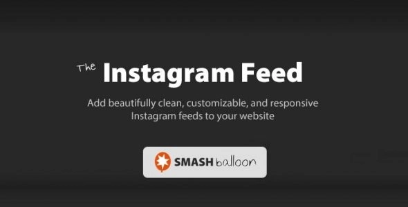 Custom Instagram Feed Pro Developer 6.2.4