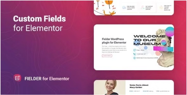 Fielder – Wordpress Custom Fields For Elementor 1.1.1