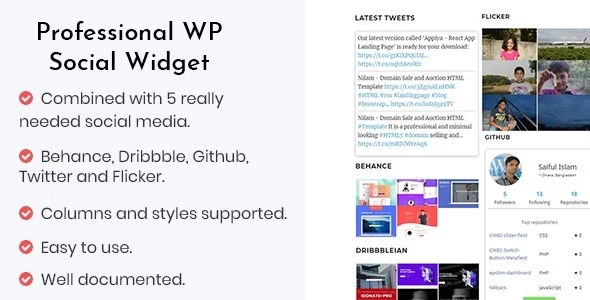 Professional WP Social Widget Plugin 1.2
