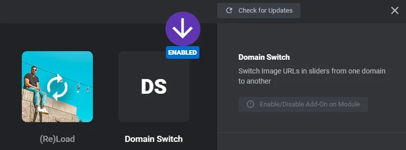 Revslider Domain Switch AddOn 1.0.1