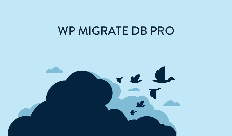 WP Migrate DB Pro Media Files 2.1.0