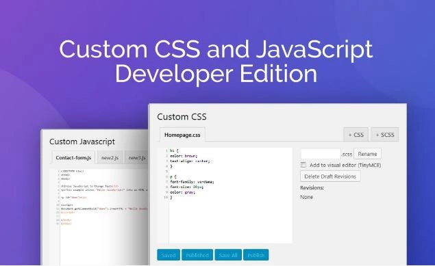 Custom Css And Javascript Developer Edition 1.0.14