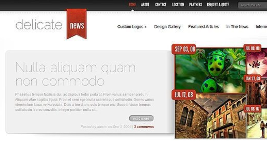 Elegant Themes Delicatenews 4.6.13