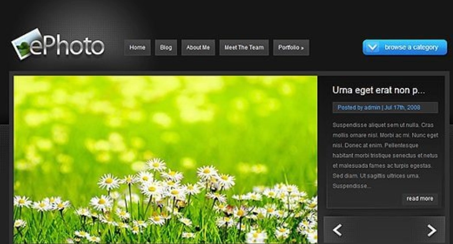 Elegant Themes Ephoto Wordpress Theme 7.0.12