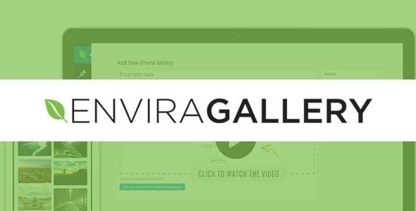 Envira Gallery Css Addon 1.3.5