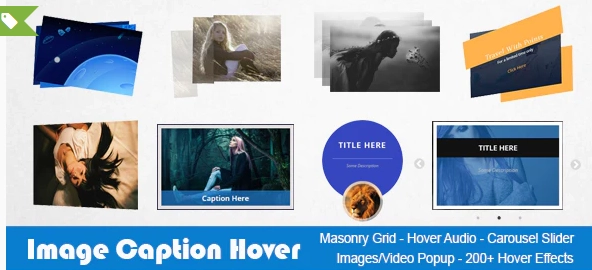 Image Caption Hover Pro Wordpress Plugin 19.1