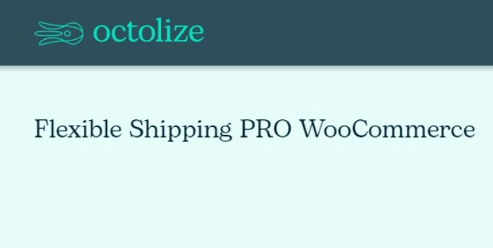 Octolize – Flexible Shipping Pro Woocommerce 2.16.6