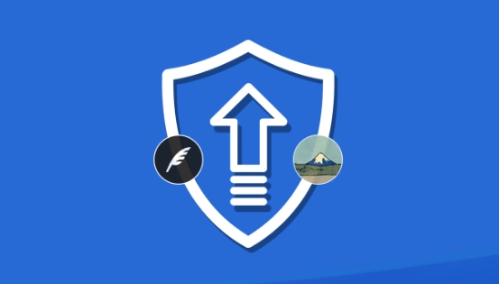 Prevent Direct Access Contact Forms Integration 1.2.1