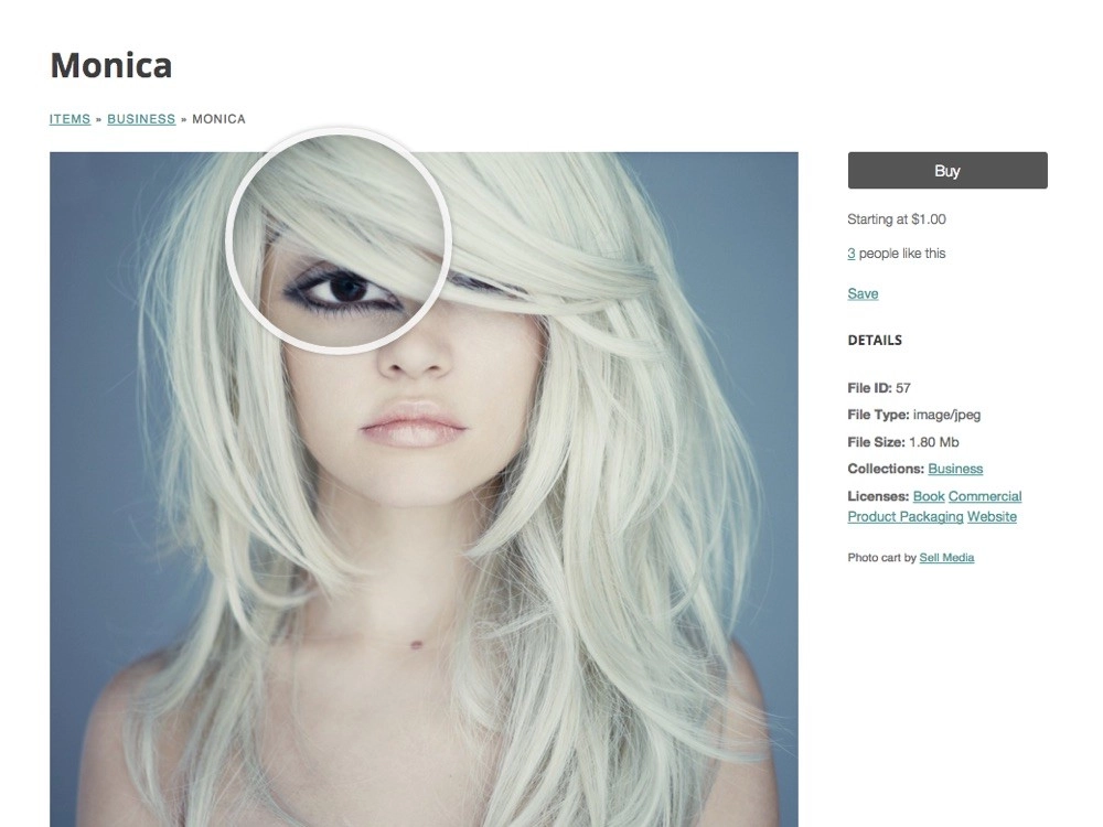 Sell Media Magnifier 2.0.1