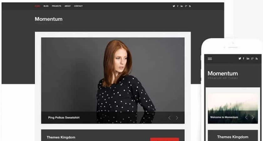 Themes Kingdom Momentum Wordpress Theme 2.3.1