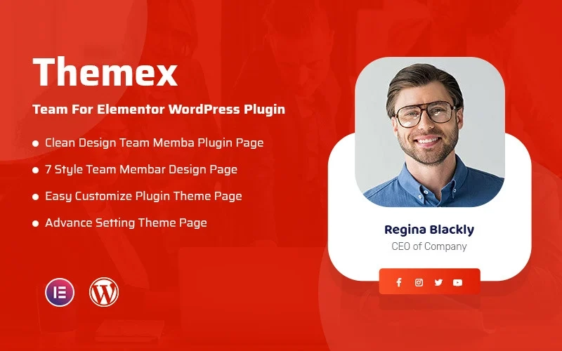 Themex Team For Elementor Wordpress Plugin 1.0.1