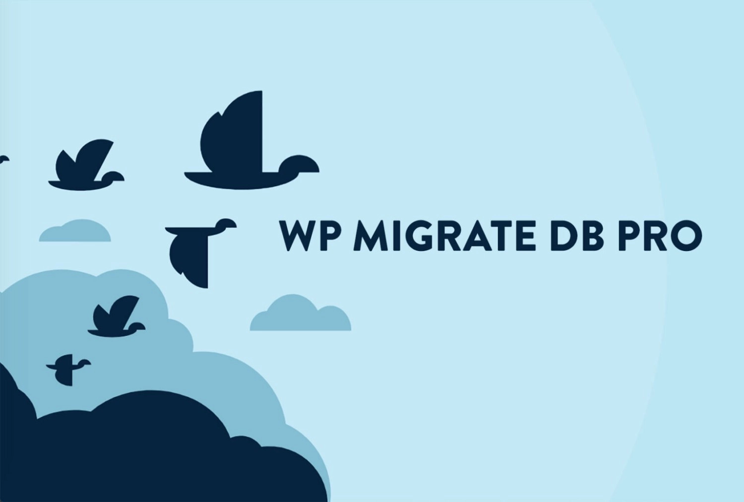 Wp Migrate Media Files Addon 2.1.0