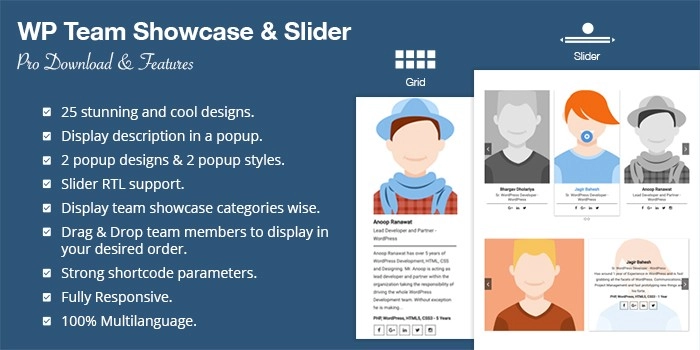Wp Team Showcase And Slider Pro 1.4.2