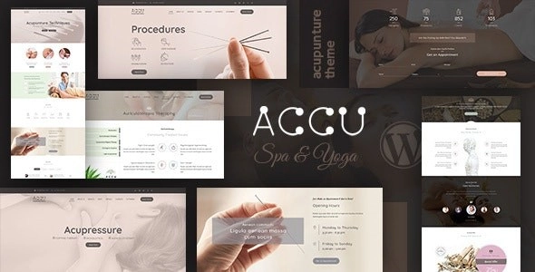 Accu Healthcare, Massage Wordpress Theme 2.4