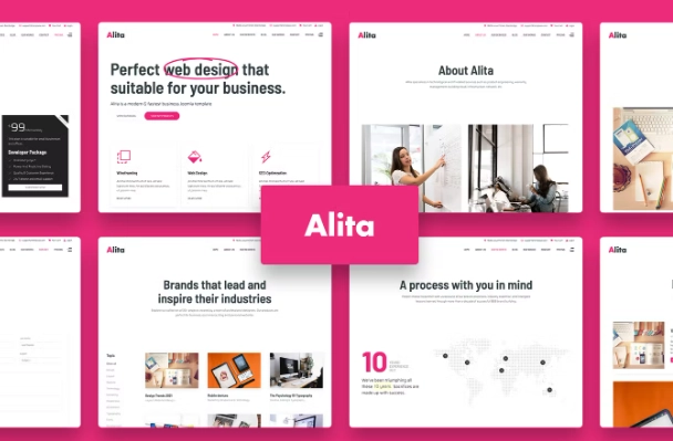 Alita Web Studio Wordpress Theme 1.0.2