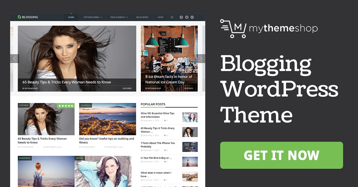 Mythemeshop Blogging Wordpress Theme 3.1.2