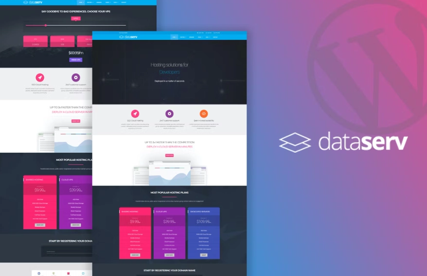 Dataserv Professional Hosting Wordpress Theme 1.0.7