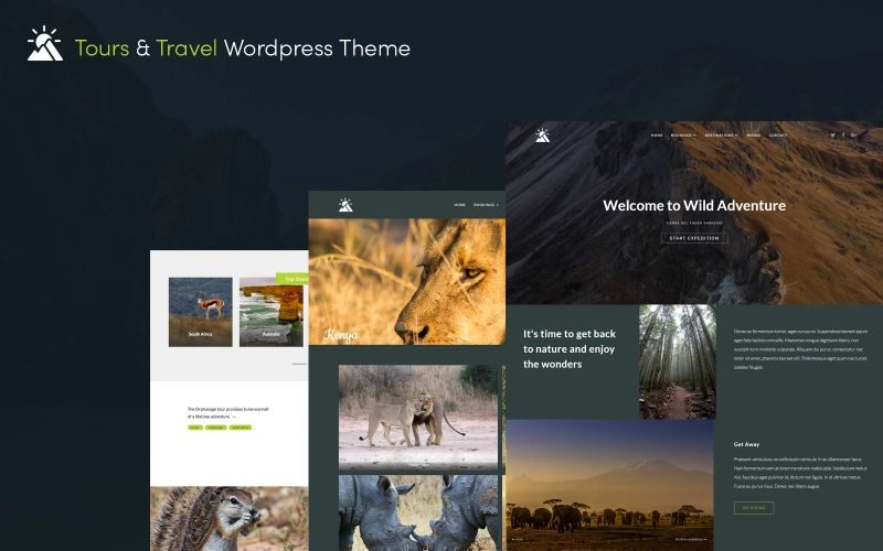 Gravity Traveler Wordpress Theme Wordpress Theme 5.5.12