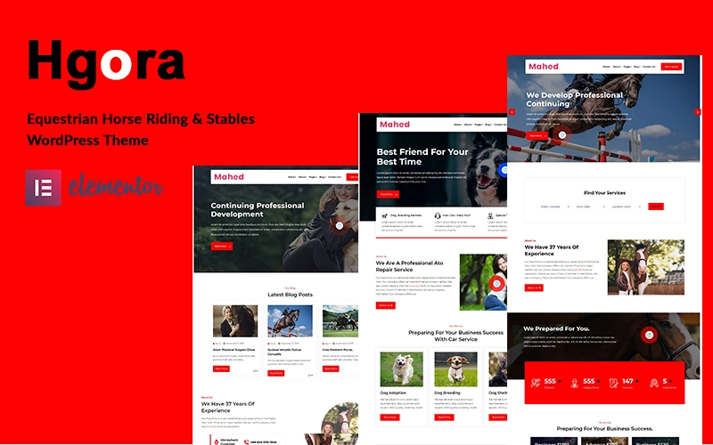 Hgoro Equestrian And Horse Riding Club Wordpress Theme 1.0.0