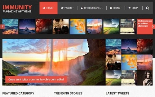 Immunity Wordpress Theme 1.2.3