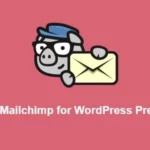 Mc4wp Mailchimp For Wordpress Premium 4.8.21