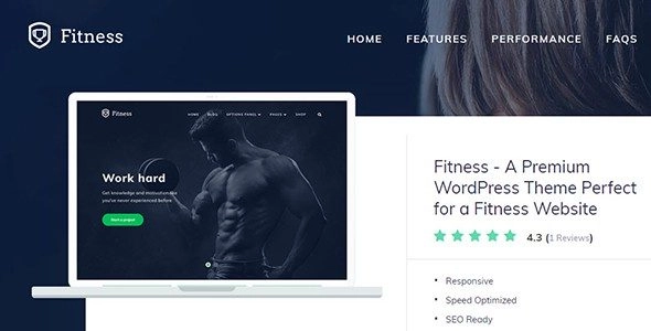 Mts: Fitness A Premium Wordpress Theme Perfect For A Fitness Website 1.0.8