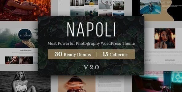 Napoli Photography Wordpress 2.2.8