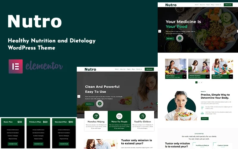 Nutro Nutrition Health Services Wordpress Theme 1.0.0