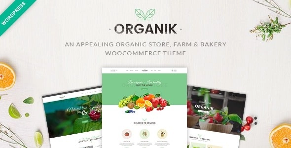 Organik Organic Food Store Wordpress Theme 3.1.5