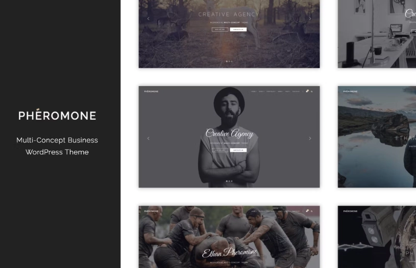 Pheromone Creative Multi Concept Wordpress Theme 1.3.2