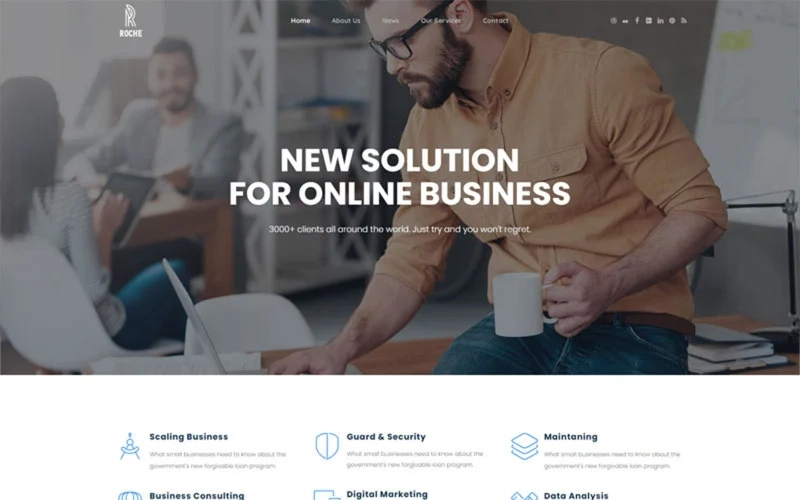 Roche Business Consulting Wordpress Theme 1.1.1