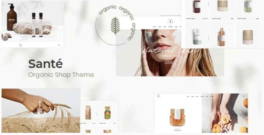 Santé – Organic Shop WordPress Theme 1.3.1