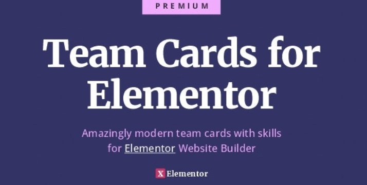 Team Cards For Elementor Ultimate Team And Skills Widget Cards 1.0.0