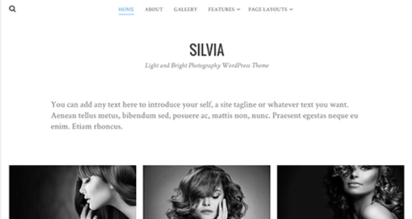 Theme Junkie – Silvia 1.0.9