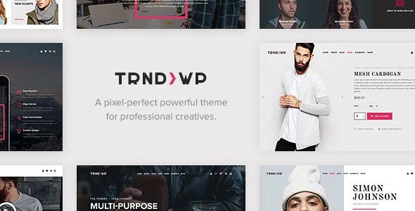 Trendy Creative Multi Purpose Wordpress Theme 1.6.5