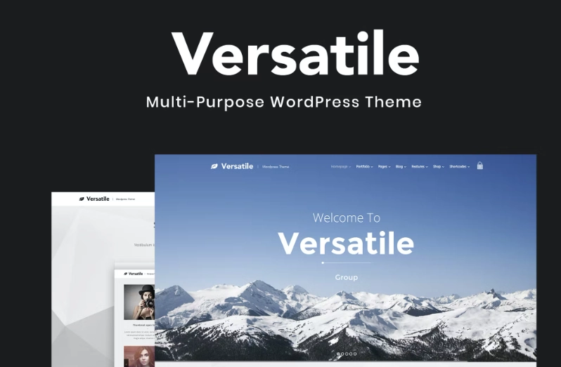 Versatile Multi Purpose Wordpress Theme 1.4.6