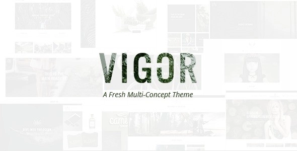 Vigor – Vintage Wordpress Theme 3.3