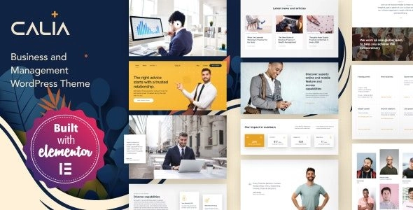 Calia Business And Management Wordpress Theme 1.2.19